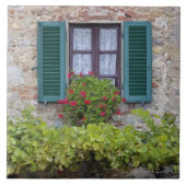 Blumenkasten auf Fenster Fliese (Vorderseite)