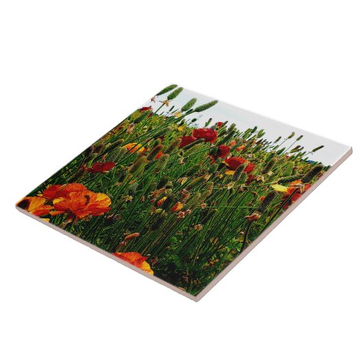 BlumenKeramik-Fliese: Blumen-Felder, Karlsbad CA Fliese (Seite)