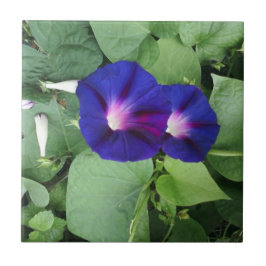 BlumenKeramik-Fliese Fliese