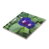 Blumenkeramikfliese Fliese (Seite)