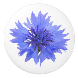 Blumenknöpfe Keramikknauf