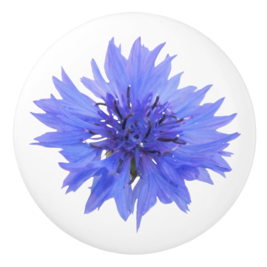 Blumenknöpfe Keramikknauf (Vorderseite)