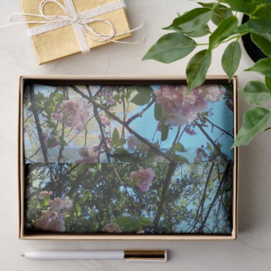 Blumenkohl, Blumenkohl, Tissue Seidenpapier (Geschenk)