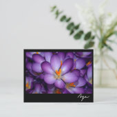 Blumenkohl Foto noch Leben. Postkarte (Stehend Vorderseite)
