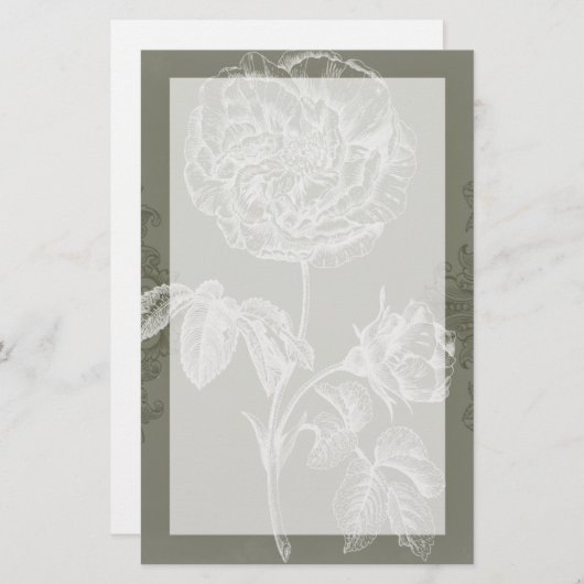 Blumenkohl I Briefpapier (Vorne/Hinten)