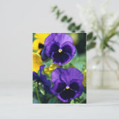 Blumenkohl, nah postkarte (Stehend Vorderseite)