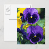 Blumenkohl, nah postkarte (Vorne/Hinten)