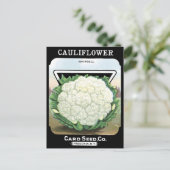 Blumenkohl-Packung Weißer Gemüsegarten Postkarte (Stehend Vorderseite)