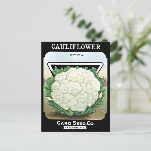 Blumenkohl-Packung Weißer Gemüsegarten Postkarte (Stehend Vorderseite)