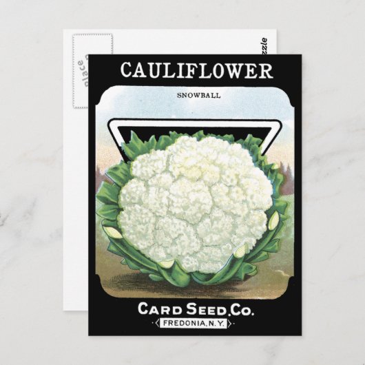 Blumenkohl-Packung Weißer Gemüsegarten Postkarte (Vorne/Hinten)