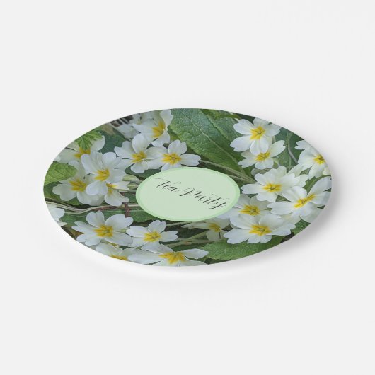 Blumenkohl-Party Pappteller (Schrägansicht)