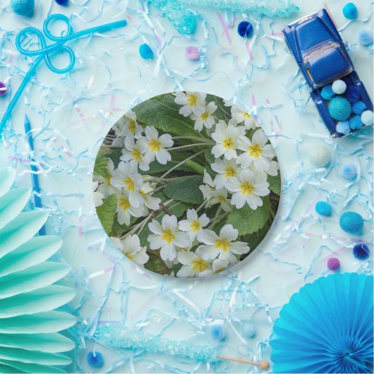 Blumenkohl-Party Pappteller (Party)