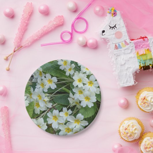 Blumenkohl-Party Pappteller (Party)