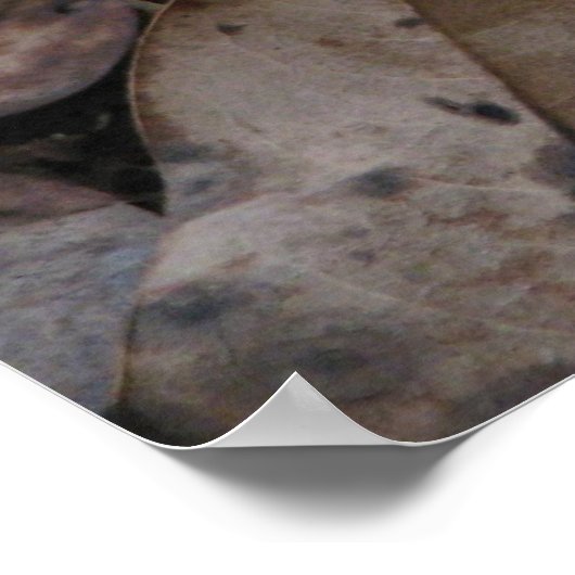 Blumenkohl Poster (Ecke)