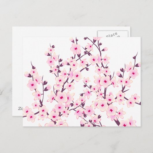 Blumenkohl (Sakura) Postkarte (Vorne/Hinten)