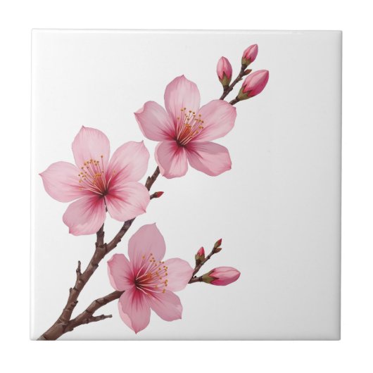 Blumenkohl (Sakura) Rosa Weiß Fliese (Vorderseite)