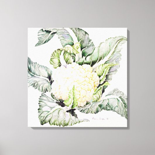 Blumenkohl-Studie 1993 Leinwanddruck (Vorderseite)