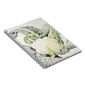 Blumenkohl-Studie 1993 Notizblock (Rechte Seite)