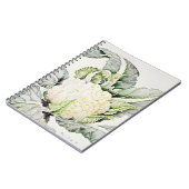 Blumenkohl-Studie 1993 Notizblock (Linke Seite)