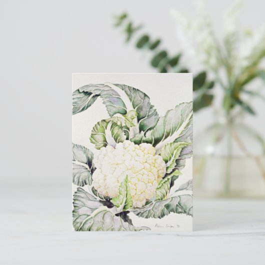 Blumenkohl-Studie 1993 Postkarte (Stehend Vorderseite)