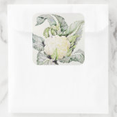 Blumenkohl-Studie 1993 Quadratischer Aufkleber (Tasche)
