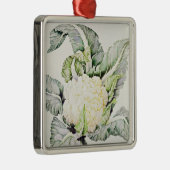Blumenkohl-Studie 1993 Silbernes Ornament (Rechts)