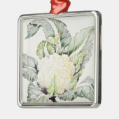 Blumenkohl-Studie 1993 Silbernes Ornament (Links)