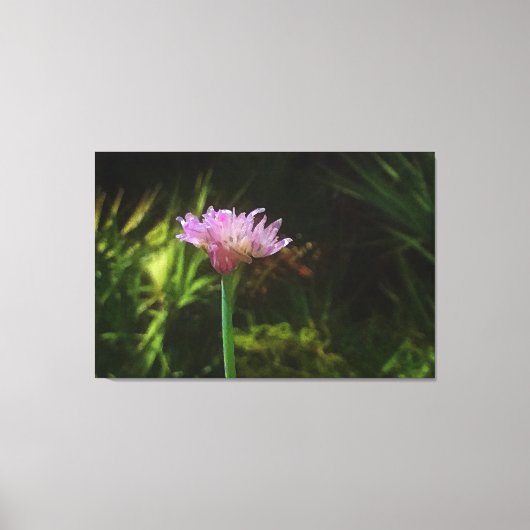 Blumenkohl und Palmetto Leinwanddruck (Vorderseite)