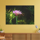 Blumenkohl und Palmetto Leinwanddruck (Insitu (Wohnzimmer))
