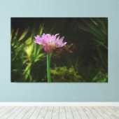 Blumenkohl und Palmetto Leinwanddruck (Insitu (Holzboden))