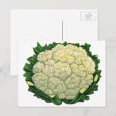 Blumenkohl Vintage-Lebensmittel Gemüse Postkarte (Vorne/Hinten)