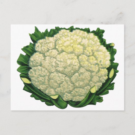 Blumenkohl Vintage-Lebensmittel Gemüse Postkarte (Vorderseite)