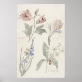 Blumenkohl, Vintages Kinderzimmer Poster (Vorne)