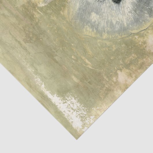 Blumenkopf Abstrakt mit glänzender Textur Seidenpapier (Ausschnitt)