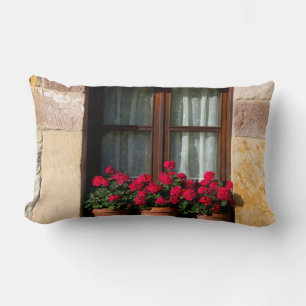 Blumenkübel am Fenster im Dorf Lendenkissen