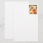 Blumenläden "Pastal Daisies" Briefpapier (Vorne/Hinten)