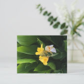 Blumenlieferung Postkarte (Stehend Vorderseite)
