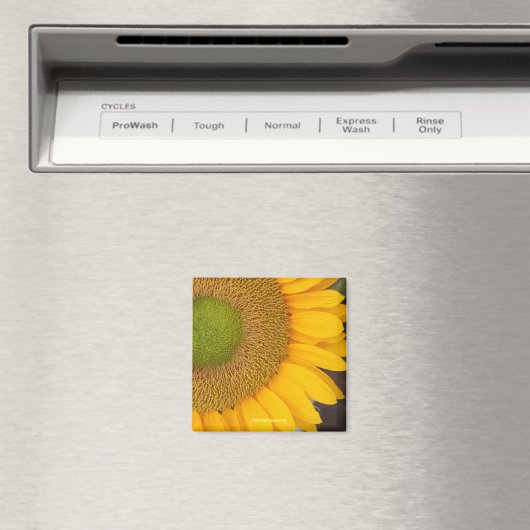 Blumenmagnet Magnet (In Situ (Geschirrspüler))