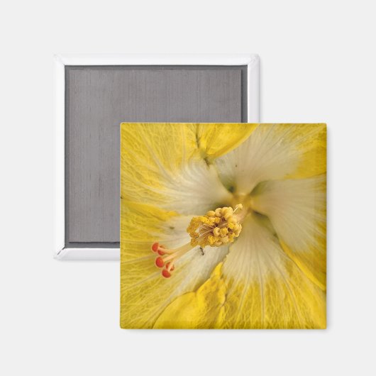 Blumenmagnet Magnet (Vorderseite/Rückseite)