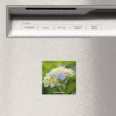 Blumenmagnet Magnet (In Situ (Geschirrspüler))