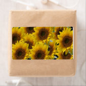 Blumenmarken Sonnenblumen (Insitu)