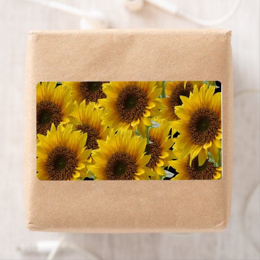 Blumenmarken Sonnenblumen (Insitu)