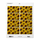 Blumenmarken Sonnenblumen (Vorne)