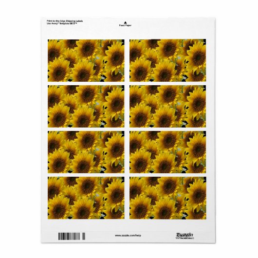 Blumenmarken Sonnenblumen (Vorne)