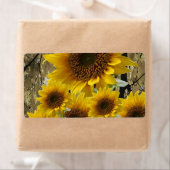 Blumenmarken Sonnenblumen (Insitu)