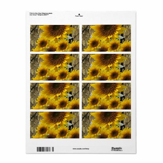 Blumenmarken Sonnenblumen (Vorne)