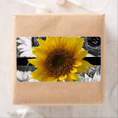 Blumenmarken Sonnenblumen (Insitu)