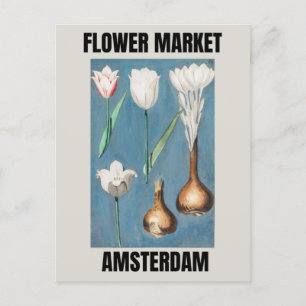 Blumenmarkt Amsterdam Vintage Tulpe Postkarte