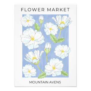 Blumenmarkt Weiße Alpine Mountain Aven Blumen Fotodruck