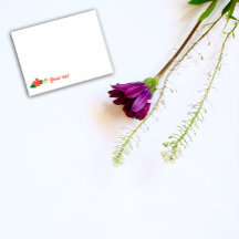 Blumenmohn